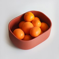 실리콘오볼