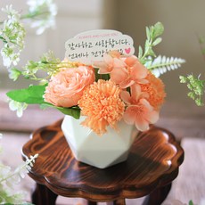 ScentBasket 人造花綻放絲綢花肥皂花康乃馨擺飾+LED燈+運輸盒+裝飾+零錢包組, 1組, 珊瑚色