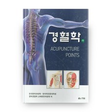 경혈학 하 양장본, 정담
