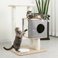 베이직준캣타워