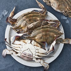 바이킹마켓 연평도 봄 암꽃게 (냉장), 1kg(3~5미), 1개