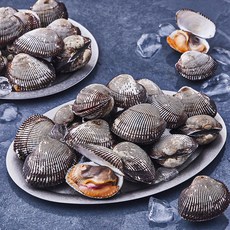 산지직송 부산 13번 중매인 피꼬막 (냉장), 1.5kg, 1개