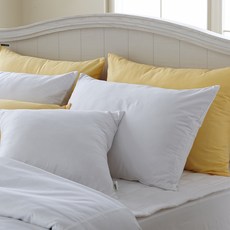 로프트가든모던솔리드