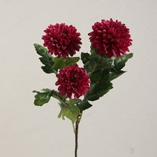 19cf3d5fa1994e1eafe88000f23fab26.jpg