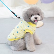 강아지미키마우스패딩