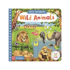 Wild Animals : First Explorers, Macmillan Children's Books