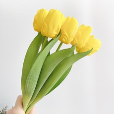 6a9afb835cff40f2be3e77345830fa12.jpg