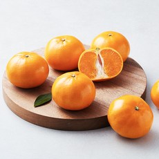 블랙홀 당도선별 천혜향, 1.5kg(중과), 1개