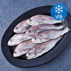 고등어청년 백조기 (냉동), 1개, 1kg