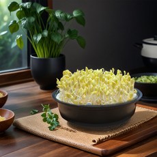 saenghwalbaekgwa 豆芽栽培器, 1個