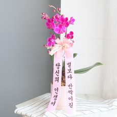 모리앤 도자기화분에 심은 만천홍 + 별보다 반짝이길 리본 세트, 혼합색상, 1세트