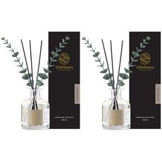 올레비엔 프리미엄 퍼퓸 디퓨저 실내용, 후리지아 부케, 250ml, 2개