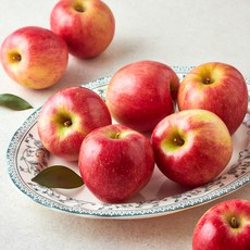 셀렉트팜 A 피크닉 사과, 1.5kg(소과, 6~9입), 1개