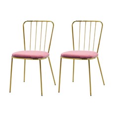 지엠퍼니처 라인 골드벨벳 인테리어 의자 2p, 핑크, 2개