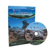 봄 갈라파고스, 1CD