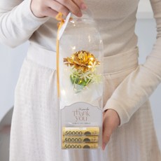 아스파시아 비누꽃 젤린 감사 꽃다발 + 핸들 캐리어 + LED 전구 + 용돈 홀더 세트, 골드카네이션(꽃다발), 1세트