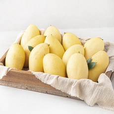 태국산 다조은 망고, 4.7kg(11~12입), 1개