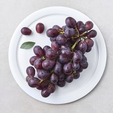 수플린 칠레산 적포도 잭살룻, 1개, 800g