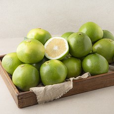엠팍 미국산 메로골드, 15kg, 1개