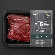 선진팜한우 양지 1+등급 국거리용 (냉장), 300g,