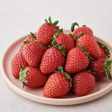 다미팜 설향딸기 중과, 500g, 1팩