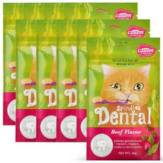 캣템 고양이 스피루리나 덴탈 간식 60g, 비프, 10개