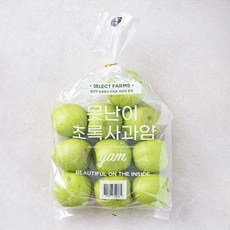 셀렉트팜 GAP 인증 못난이 초록사과 얌 중과, 1개, 2kg(9~11입)