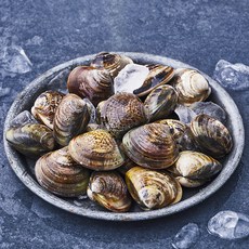 산지직송 바다림 생물 백합 (냉장), 600g, 1개