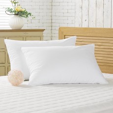 KIT HOME 超細纖維枕芯 Set, 白色, 40 x 60cm, 2個
