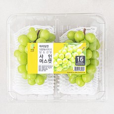 아리당찬 비파괴 당도선별 샤인 머스캣, 1kg, 1팩