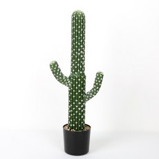 마쉬매리골드 조화 멕시코 선인장 포트 70cm, 혼합색상, 1개