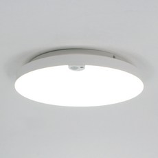 색변환 밝기조절 글로리 스마트 원형 LED 직부등 20W, 백색, 1개