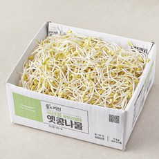 풀스키친 국내산 무농약 새오리알태 옛콩나물, 1kg, 1개