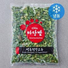 마당발 중국산 청양고추 (냉동), 1kg, 1개