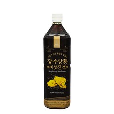 위드네이쳐 장수 상황버섯 진액, 1개, 1000ml, 1개