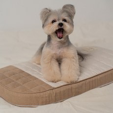 RITOGATO 狗狗蜂蜜兔子寵物摩卡棉墊 M 號, 1個, 棕色