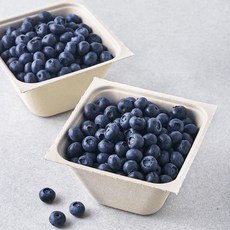 아주마 산지직송 영동 블루베리, 260g, 2개