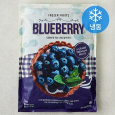 글로벌냉동식품 블루베리 (냉동), 1개, 1kg
