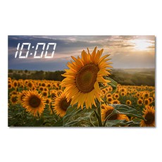 800x500액자