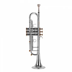 Albert Weber HDC Youngchang 小號AWTP1000S, 銀色, AWTP1000S