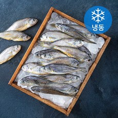 다미원 영광 법성포 대용량 굴비 20미 (냉동), 1개, 1.9kg