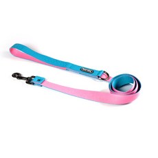 지독리드줄-추천-상품