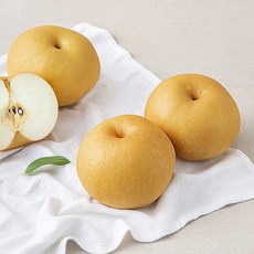 원농산 당도선별 창조배 3~4입, 2kg, 1팩
