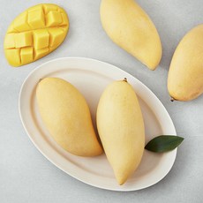 맛젤 태국산 망고, 1.3kg(4입), 1개