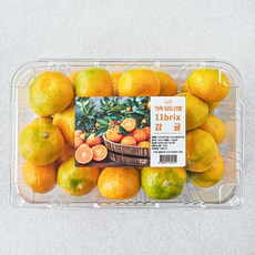 가족 당도선별 11brix 감귤, 1.2kg(꼬마과), 1개