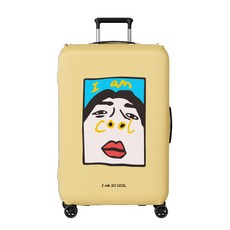 캐리어커버32