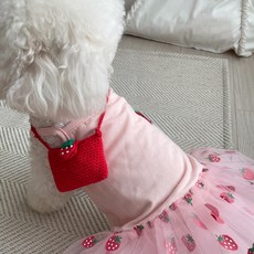 스타벅스강아지가방 TOP01