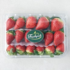 프레시픽 홍희 딸기, 500g(15~20과), 1팩
