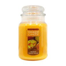 YANKee CANDLe 香氛蠟燭 Mango Peach Salsa, 623公克, 623g, 1個