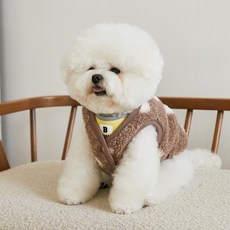 베니즈도트